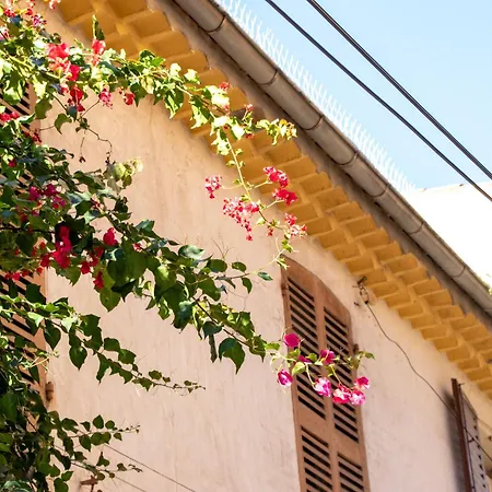 Lägenhet Cosy Vieil *