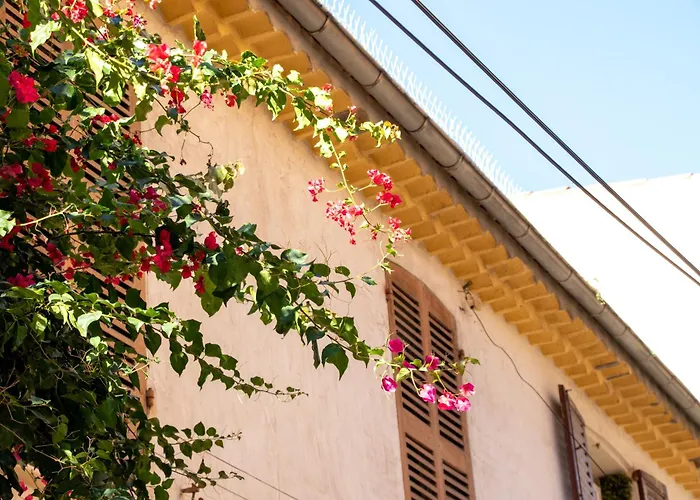 Appartamento Cosy Vieil *